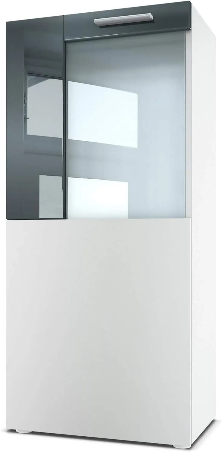 Vitrinenschrank und Glasvitrine: 50, 5 × 111 × 32, 5 cm, grau